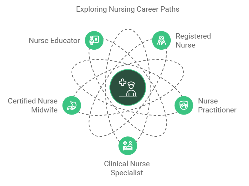 nursing career paths