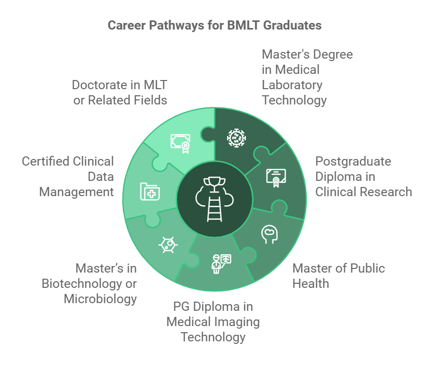 Top Courses to Pursue After BMLT