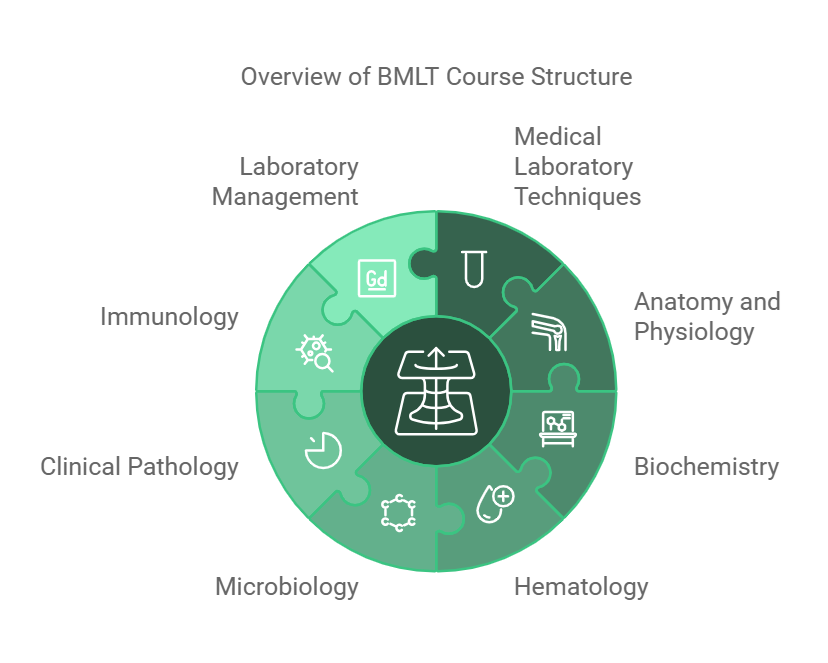 bmlt course structure